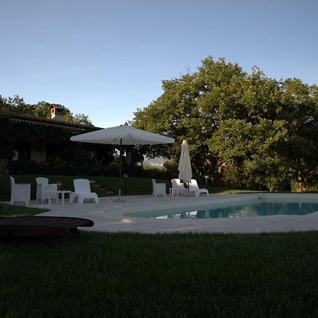 The Forest House Isernia Exteriér fotografie